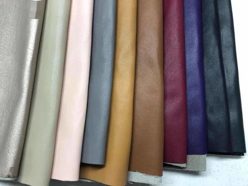 intertextile秋冬面輔料展 內(nèi)衣面膜料版塊興起，功能升級(jí)引領(lǐng)潮流
